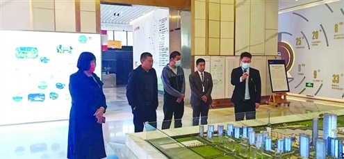 榆山街道南门社区考察县城房产